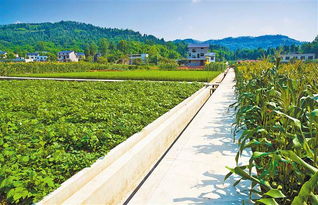 重庆农综项目带动148万农户增收 450余万人直接受益